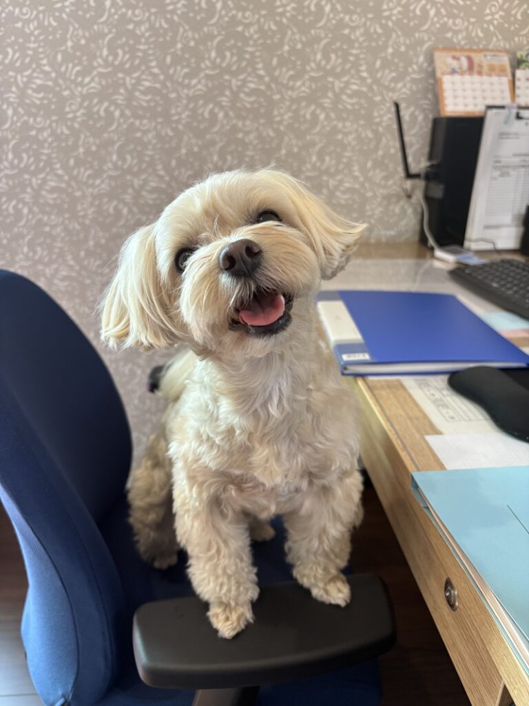 在宅ワークOK✨