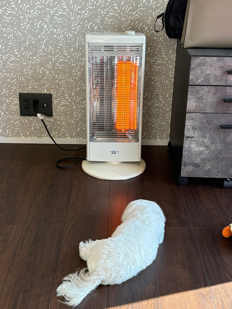 まだまだ寒いですね🥶